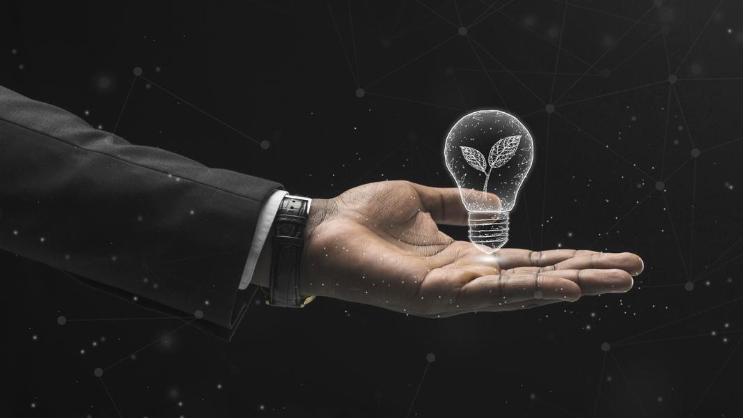 كيف يكون الابتكار عامل الفرق في نمو الجهات؟