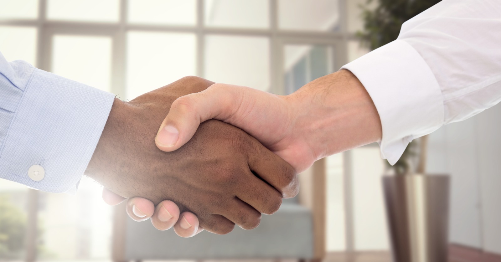 بناء شراكات استراتيجية - دورة تدريبية