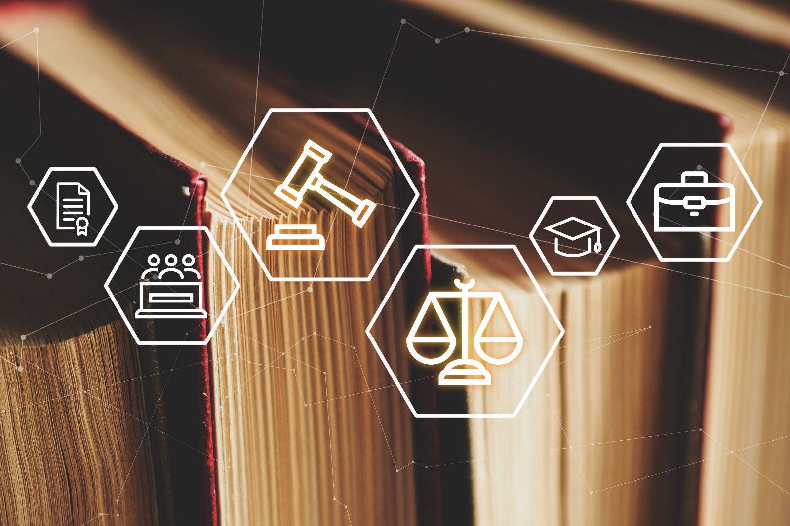 المنازعات القانونية للموظف العام - دورة تدريبية