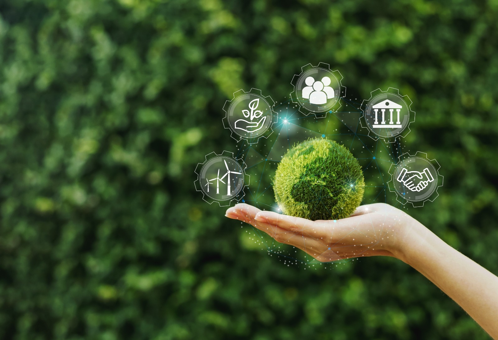 الاقتصاد الدائري - دورة تدريبية