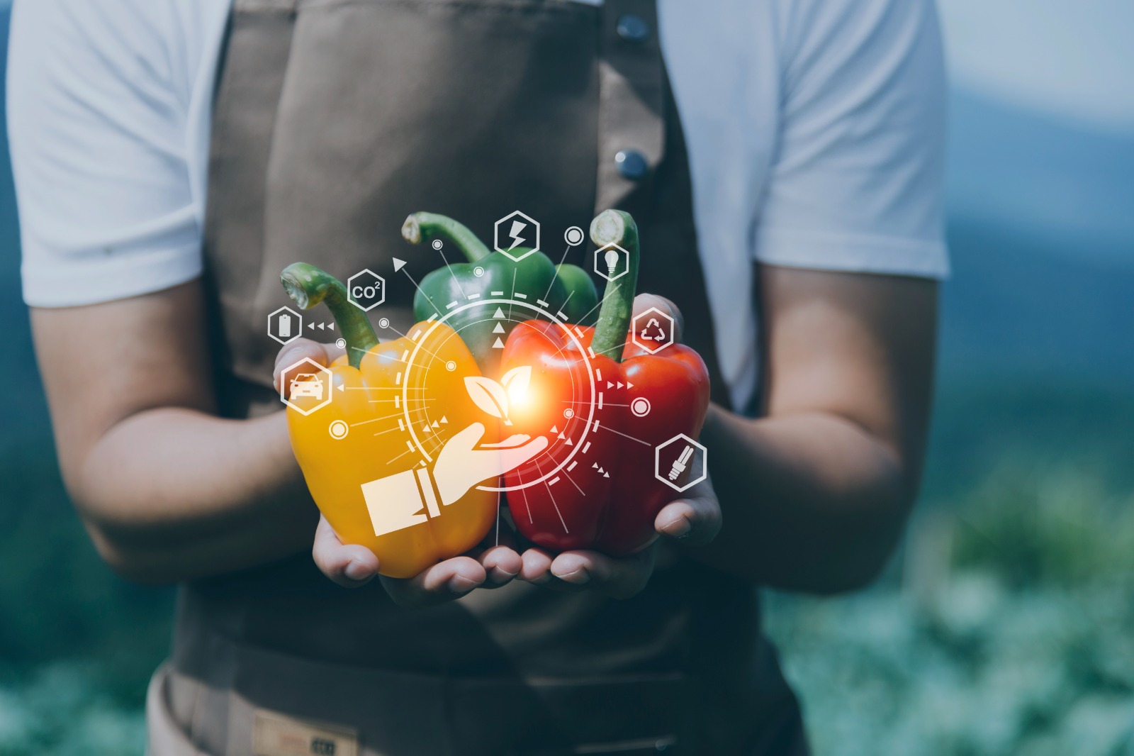 أنظمة إدارة سلامة الغذاء - دورة تدريبية