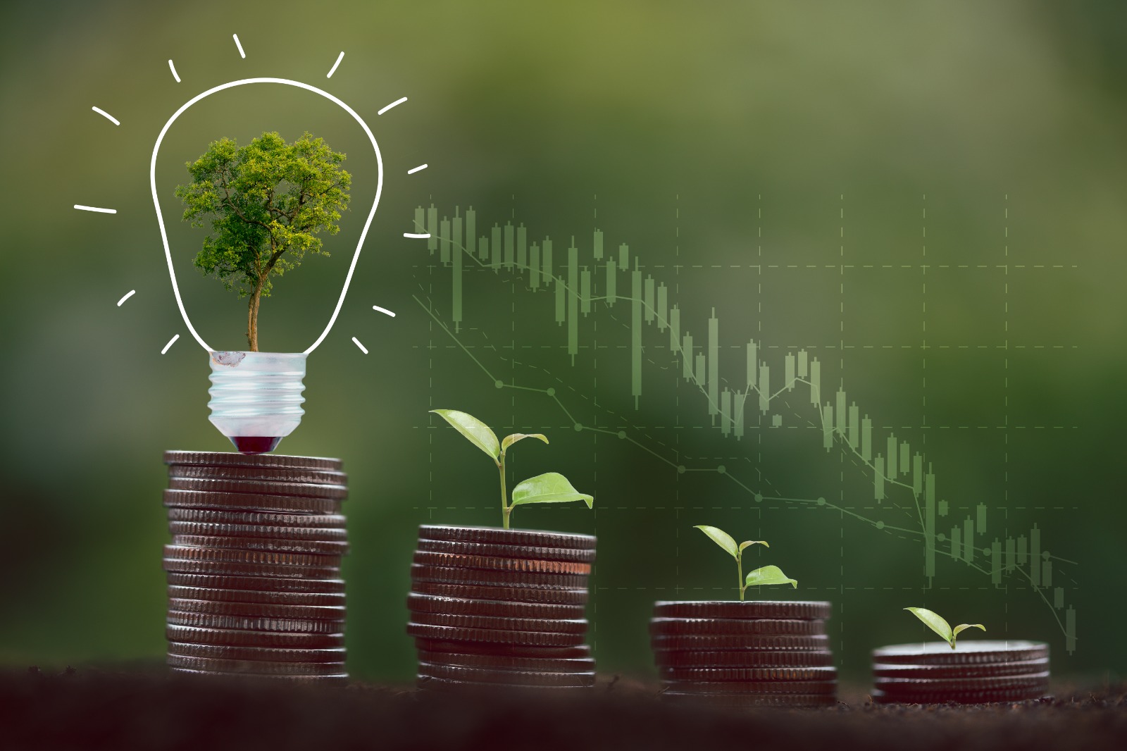 التمويل الأخضر - دورة تدريبية