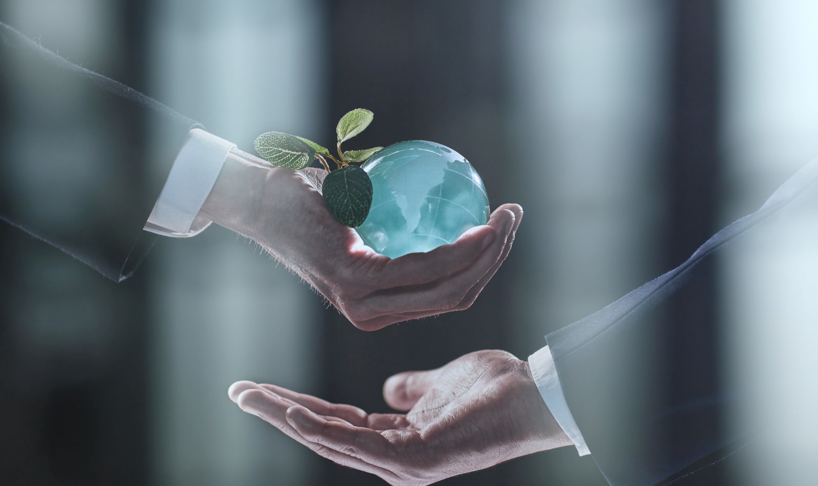 الإستدامة المالية الرائدة - دورة تدريبية